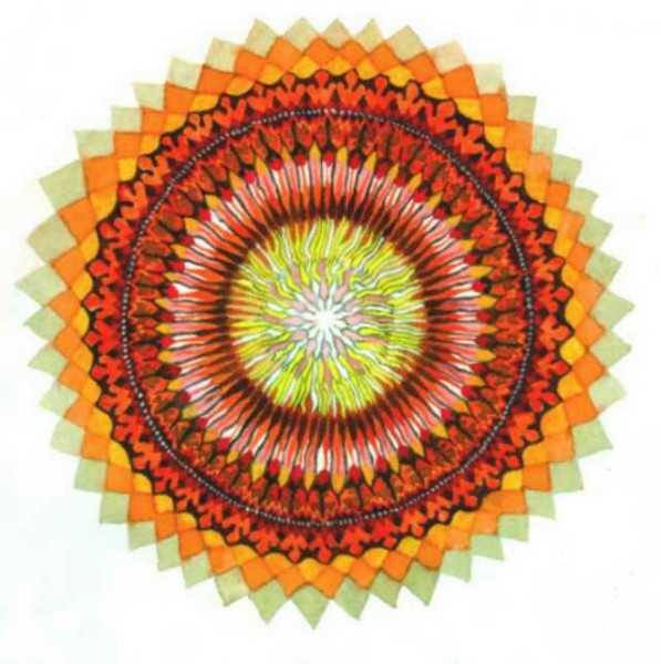 ../Images/autumn leaves.jpg